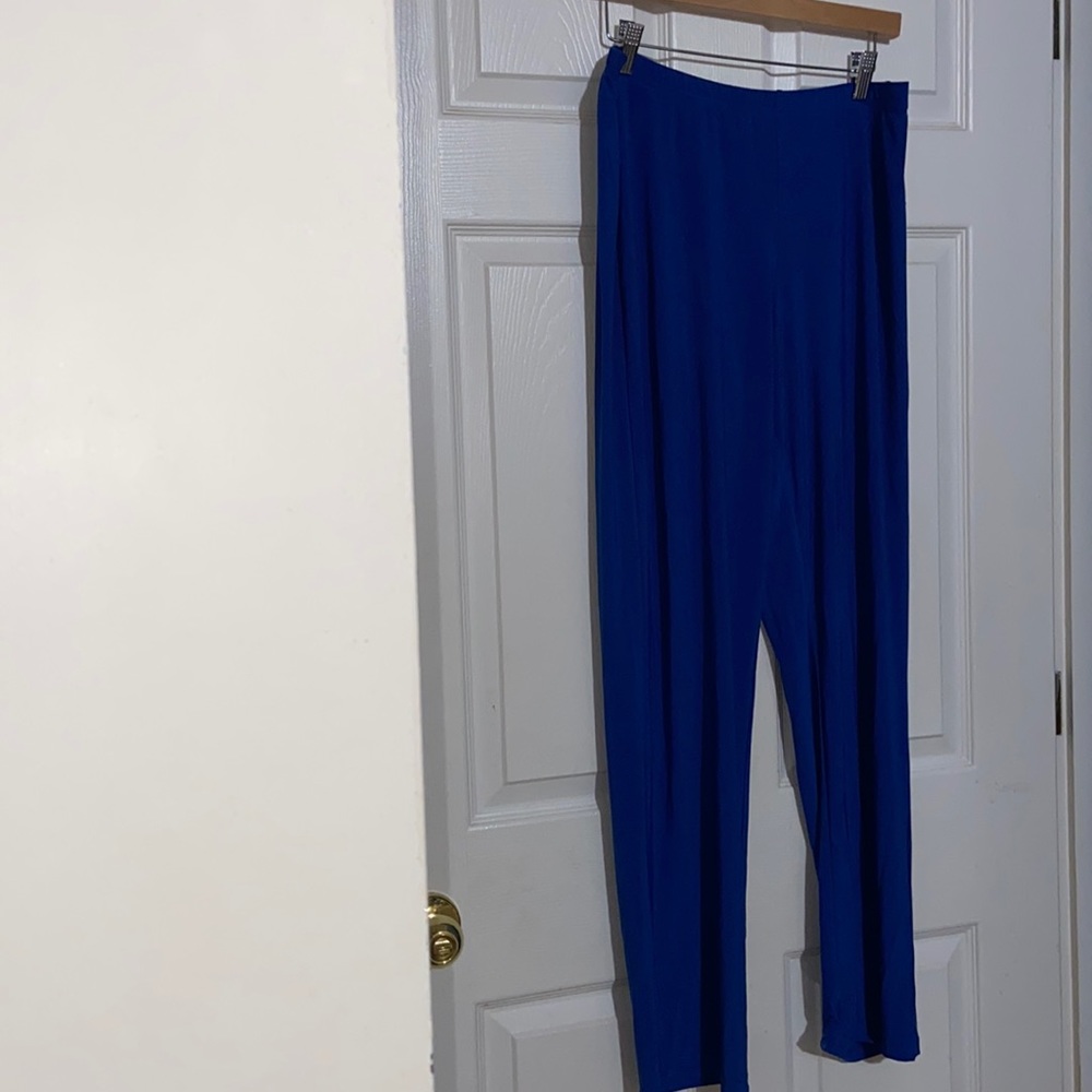 Nina Leonard Pull-On Polyester Blend Pant Large